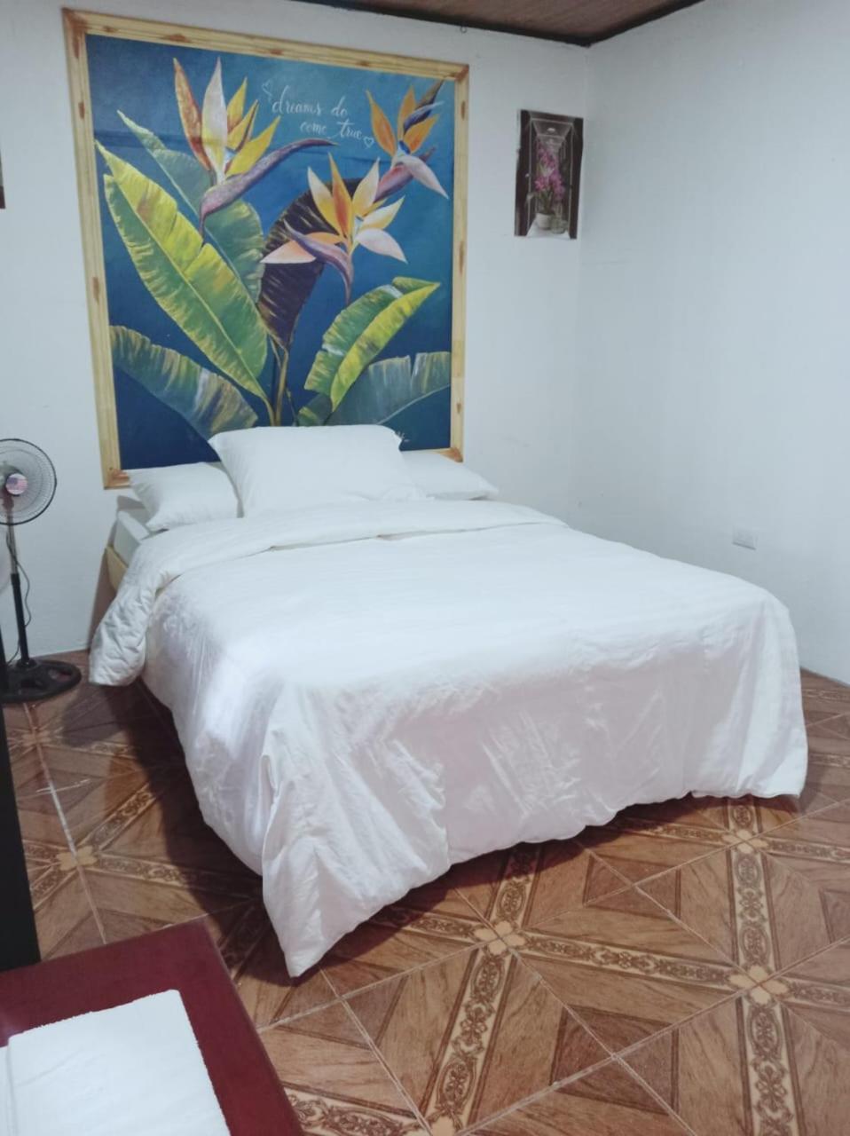 Blackout Hostel La Fortuna Екстер'єр фото